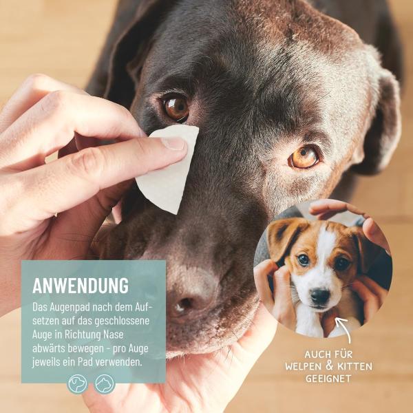 ReaVET Augenpflege Pads: Sanfte und effektive Reinigung für die Augen von Hunden und Katzen
