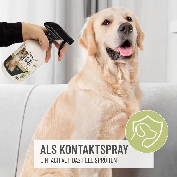 Reavet Flohspray 500ml - Schützen Sie Ihren Vierbeiner vor Flöhen, Zecken und anderen Parasiten