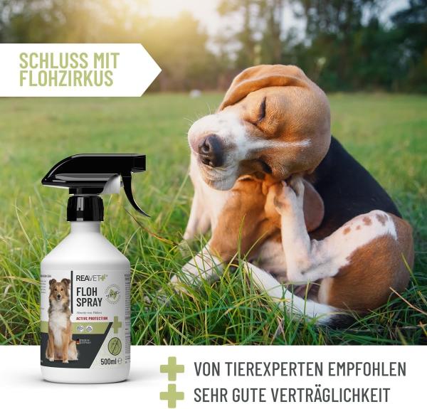 Reavet Flohspray 500ml - Schützen Sie Ihren Vierbeiner vor Flöhen, Zecken und anderen Parasiten