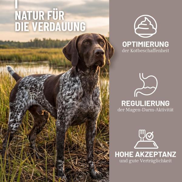 ReaVET Heilmoor als natürliche Hilfe bei Kotfressen und Grasfressen