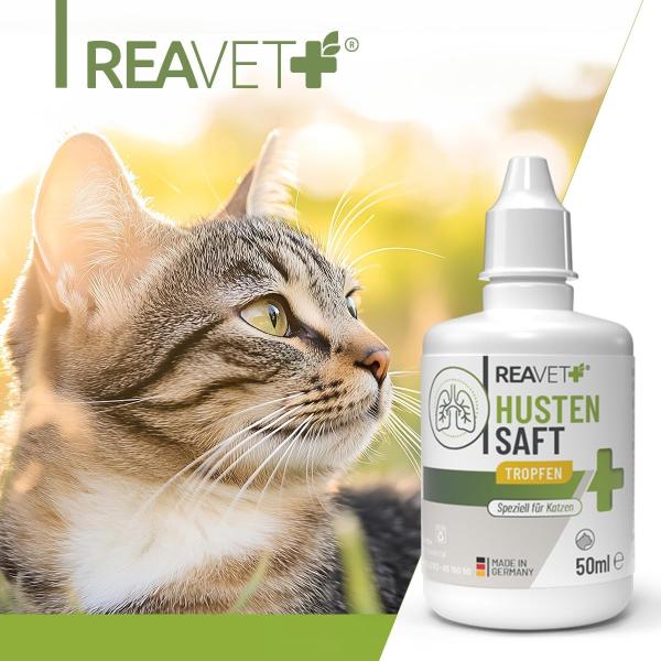 ReaVET Hustensaft Tropfen für Katzen – Natürliche Unterstützung für freie Atemwege (50ml)