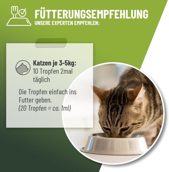 ReaVET Hustensaft Tropfen für Katzen – Natürliche Unterstützung für freie Atemwege (50ml)
