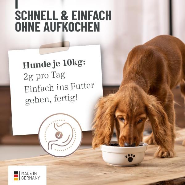 Dosierung und Anwendung ReaVET Magenpulver für Hunde
