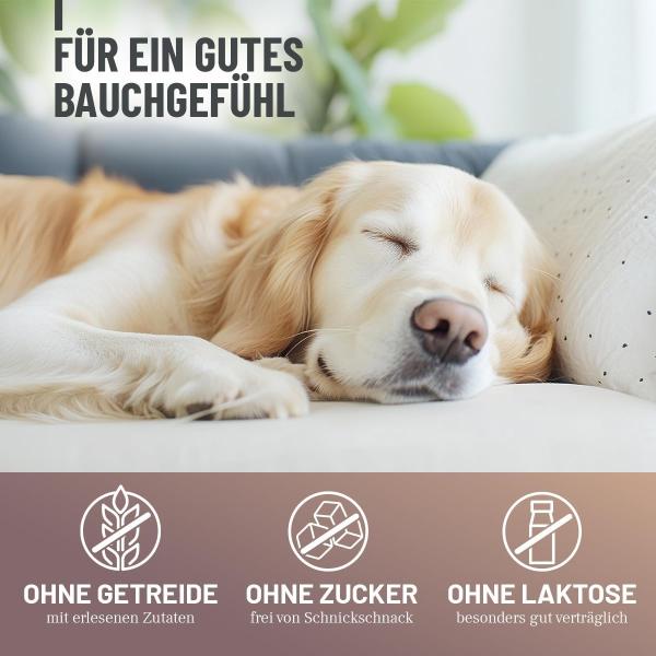 Hund frisst Magenpulver zur Beruhigung schlafender Hund