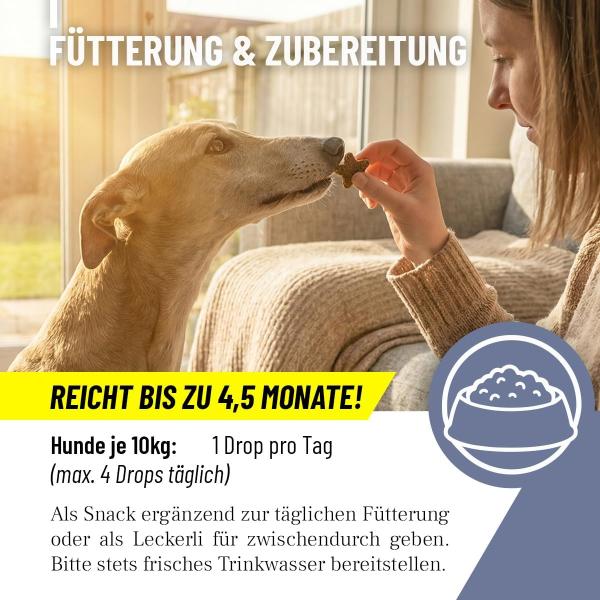 bei Gewitter, Silvester oder Trennungsangst – Entspannter Hund dank ReaVET.