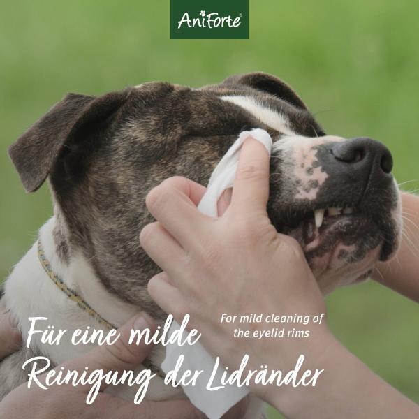 Aniforte Sanfte Augenpflege für Hunde, Katzen, Kleintiere