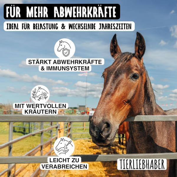 Immunkräutersaft für Pferde – Tierliebhaber | 1 L