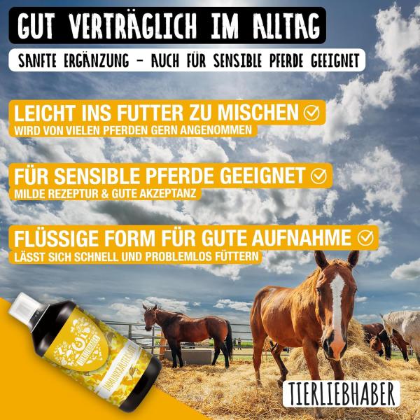 Immunkräutersaft für Pferde – Tierliebhaber | 1 L