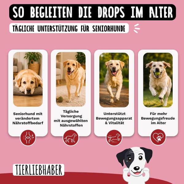 Weiche Soft-Drops mit Insektenprotein für hohe Akzeptanz auch bei Senioren