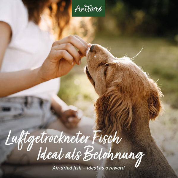 Aniforte Trockenfisch 200g 100% Natursnack für Hunde