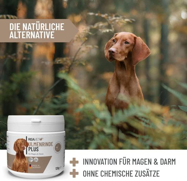 ReaVET Ulmenrinde Plus  - Natürliche Darmsanierung für Hunde und Katzen
