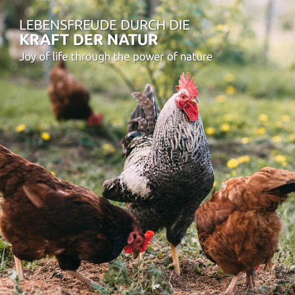 Aniforte FarmLife WermiX für Hühner und Geflügel ehem. Wurmformel